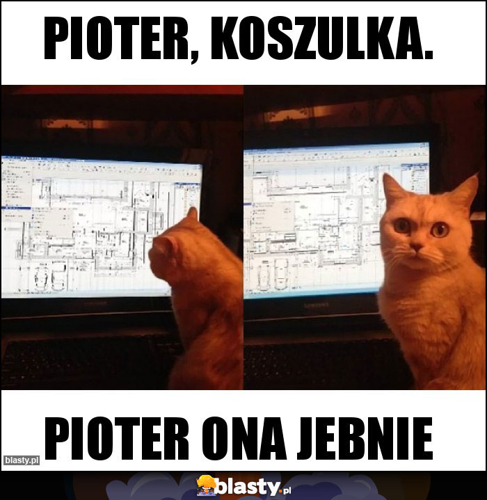 Pioter, koszulka. Pioter, koszulka.