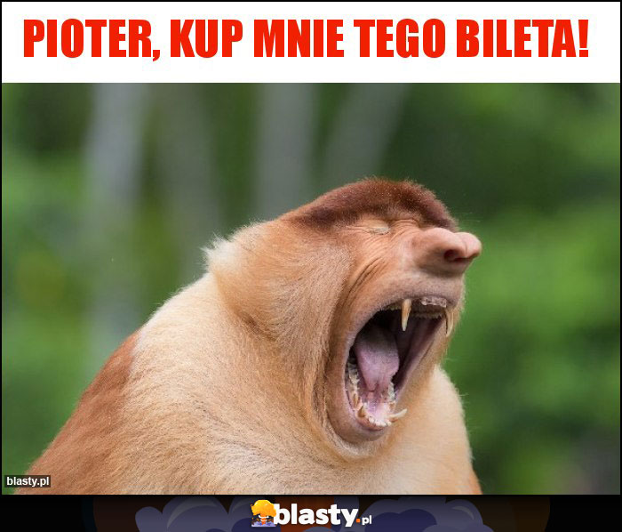 Pioter, kup mnie tego bileta! Pioter, kup mnie tego bileta!