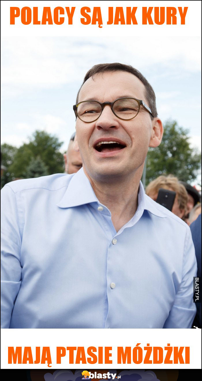 polacy są jak kury polacy są jak kury