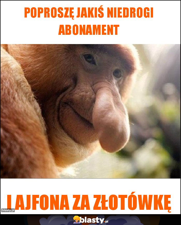Poproszę jakiś niedrogi abonament Poproszę jakiś niedrogi abonament