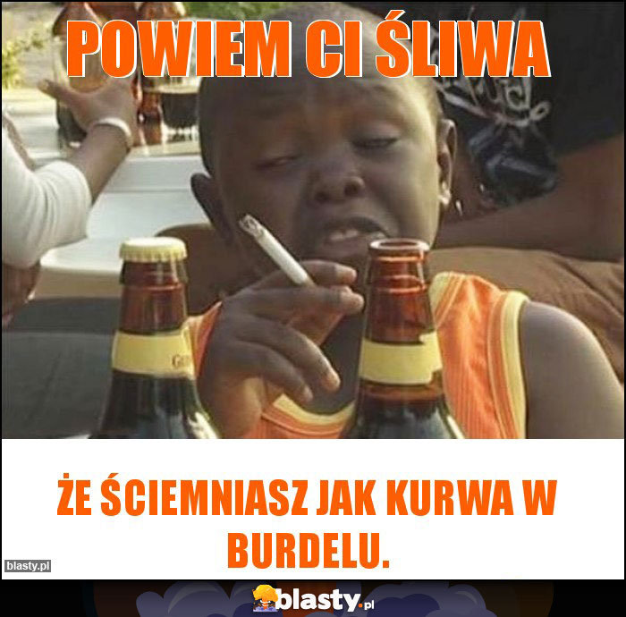 Powiem Ci śliwa Powiem Ci śliwa