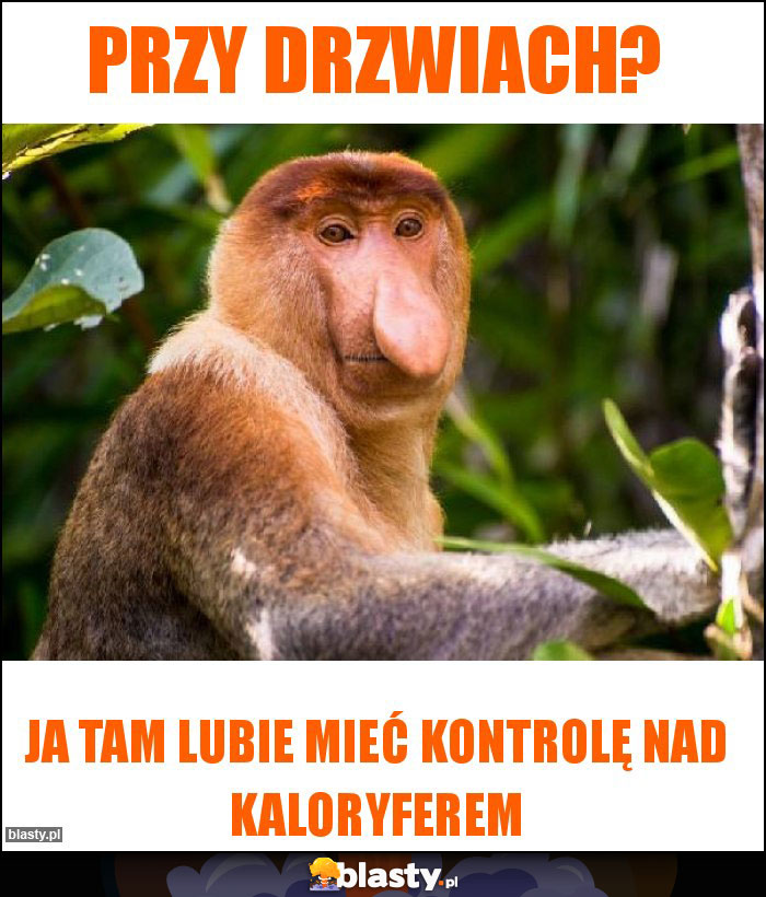 przy drzwiach? przy drzwiach?
