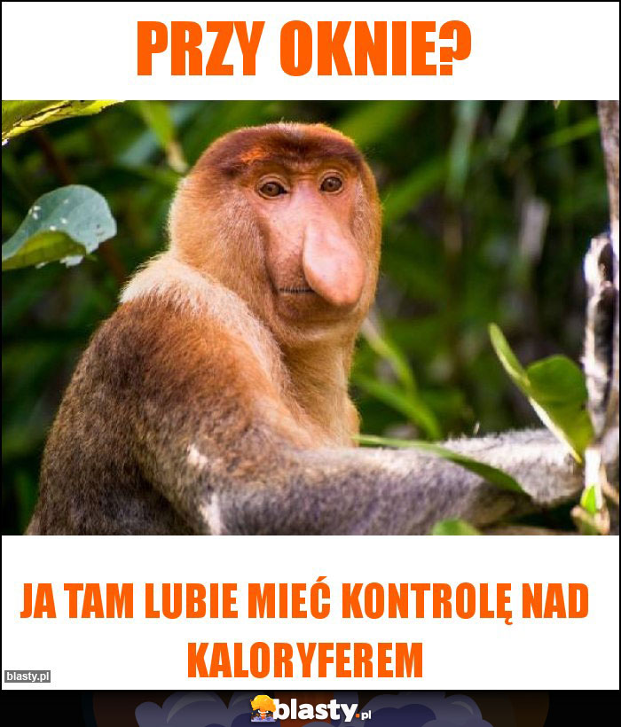 Przy oknie? Przy oknie?