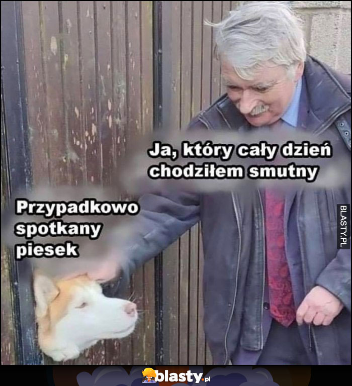 Przypadkowo spotkany piesek, ja który cały dzień chodziłem smutny