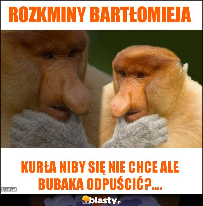 Rozkminy Bartłomieja Rozkminy Bartłomieja