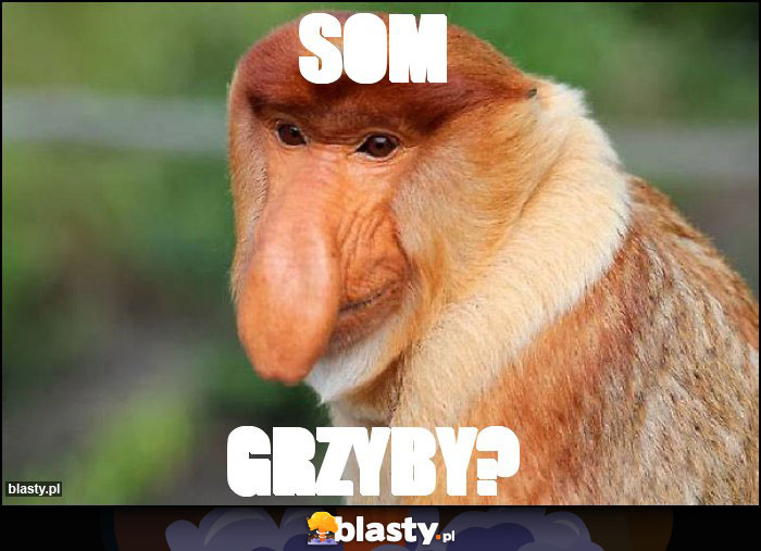 Som