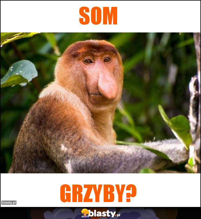 Som