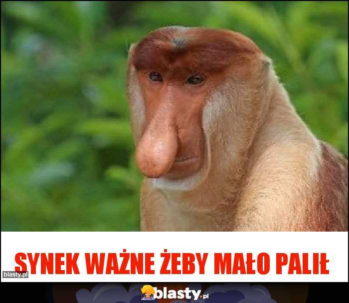 Synek ważne żeby mało palił Synek ważne żeby mało palił