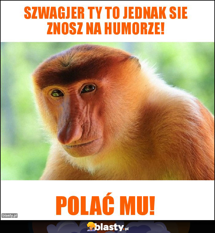 Szwagjer Ty to jednak sie znosz na humorze! Szwagjer Ty to jednak sie znosz na humorze!