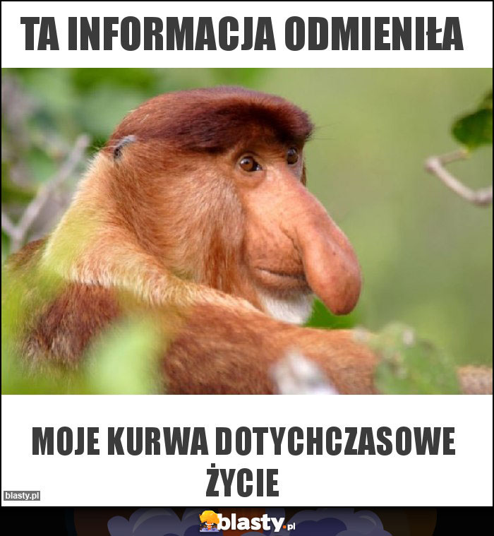 Ta informacja odmieniła Ta informacja odmieniła