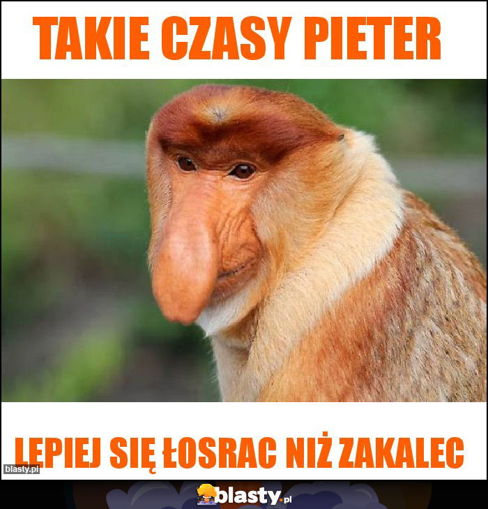 Takie czasy Pieter Takie czasy Pieter