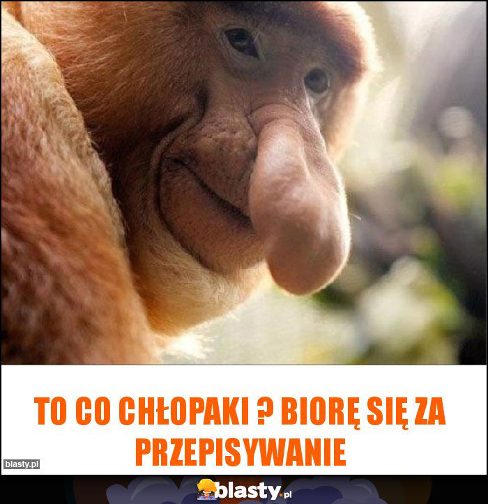 To co chłopaki ? biorę się za przepisywanie To co chłopaki ? biorę się za przepisywanie