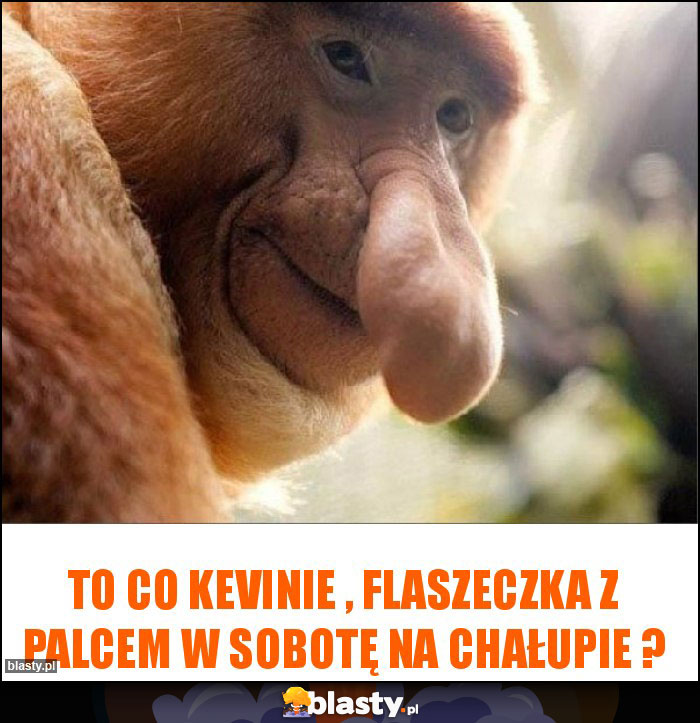 to co Kevinie , flaszeczka z palcem w sobotę na chałupie ? to co Kevinie , flaszeczka z palcem w sobotę na chałupie ?