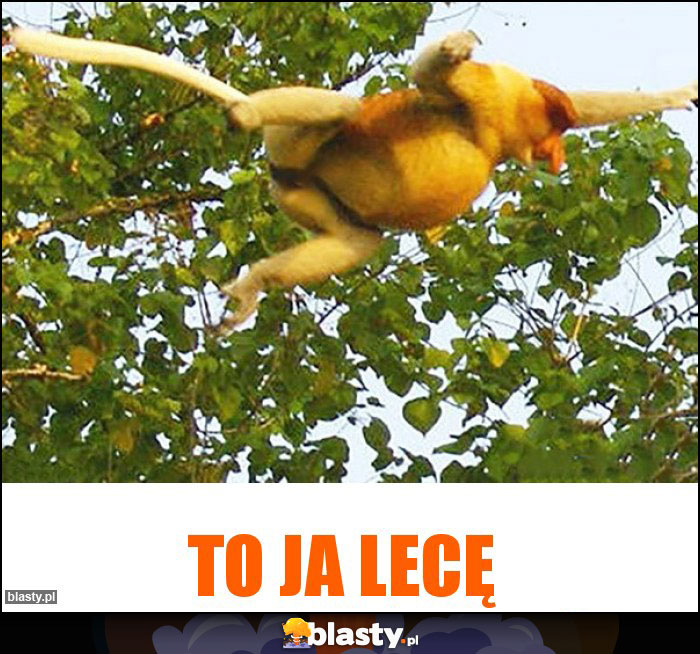 to ja lecę to ja lecę