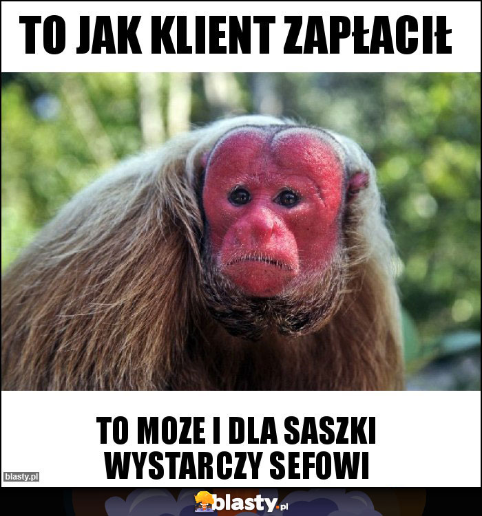 To jak klient zapłacił To jak klient zapłacił