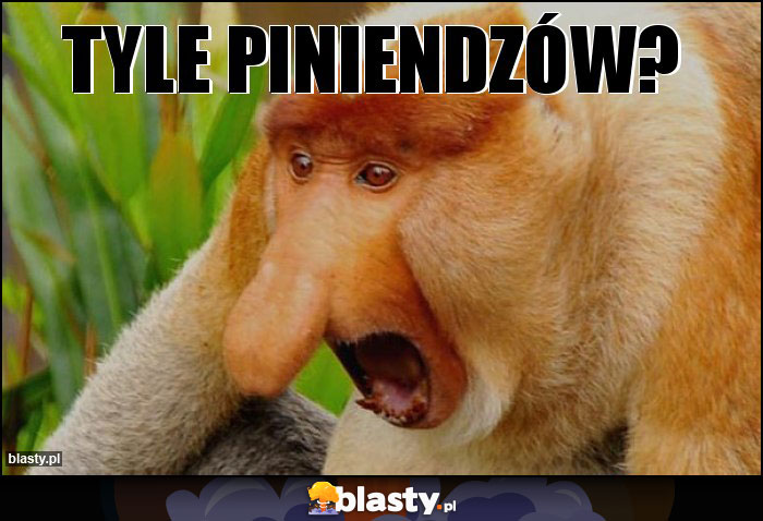 TYLE PINIENDZÓW? TYLE PINIENDZÓW?