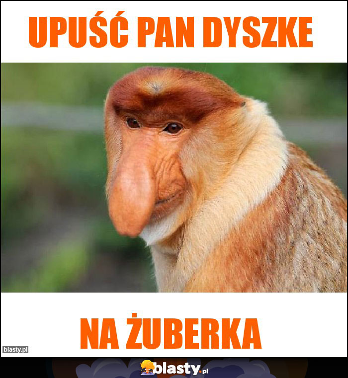 Upuść pan dyszke Upuść pan dyszke