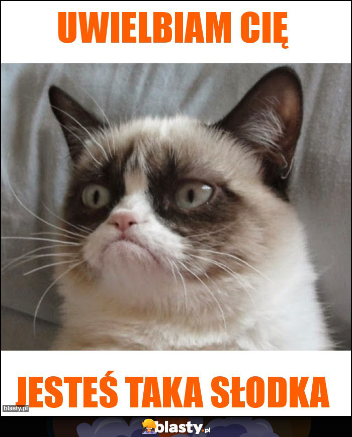 Uwielbiam Cię Uwielbiam Cię