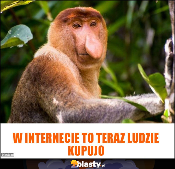 W internecie to teraz ludzie kupujo W internecie to teraz ludzie kupujo