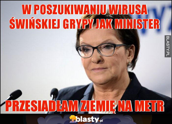 W poszukiwaniu wirusa świńskiej grypy jak minister W poszukiwaniu wirusa świńskiej grypy jak minister