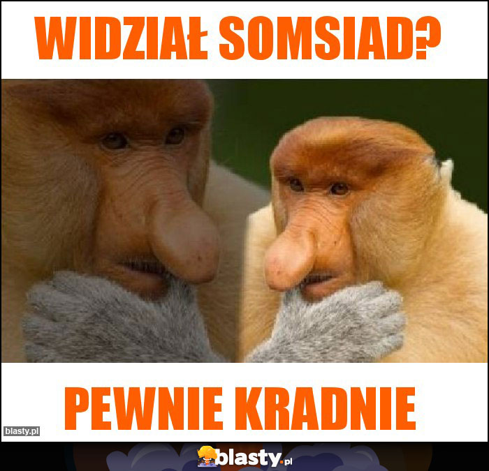Widział Somsiad? Widział Somsiad?