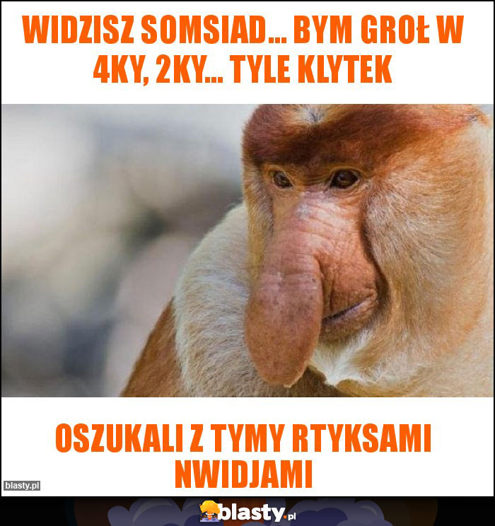 widzisz somsiad... bym groł w 4ky, 2ky... tyle klytek widzisz somsiad... bym groł w 4ky, 2ky... tyle klytek
