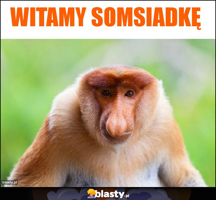 Witamy somsiadkę Witamy somsiadkę