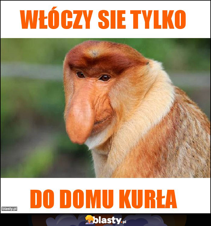 Włóczy sie tylko Włóczy sie tylko