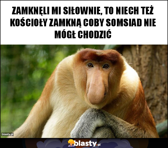 ZAMKNĘLI MI SIŁOWNIE, TO NIECH TEŻ KOŚCIOŁY ZAMKNĄ COBY SOMSIAD NIE MÓGŁ CHODZIĆ ZAMKNĘLI MI SIŁOWNIE, TO NIECH TEŻ KOŚCIOŁY ZAMKNĄ COBY SOMSIAD NIE MÓGŁ CHODZIĆ