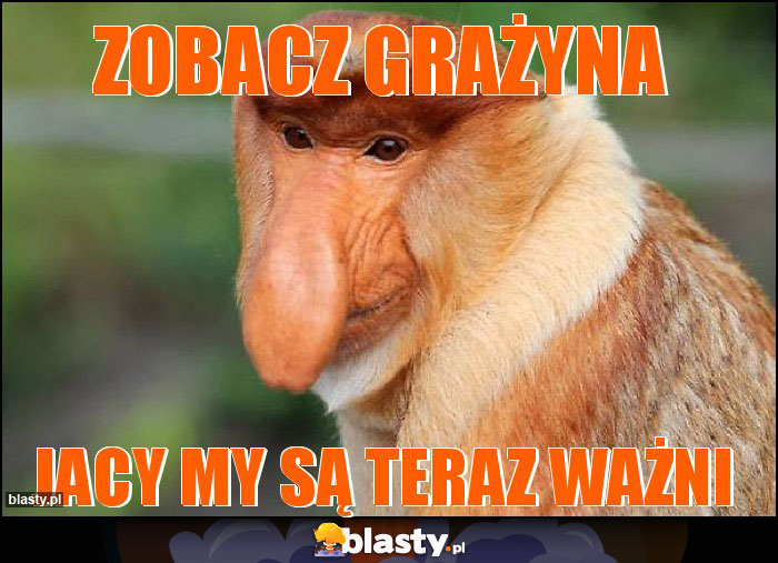Zobacz Grażyna Zobacz Grażyna