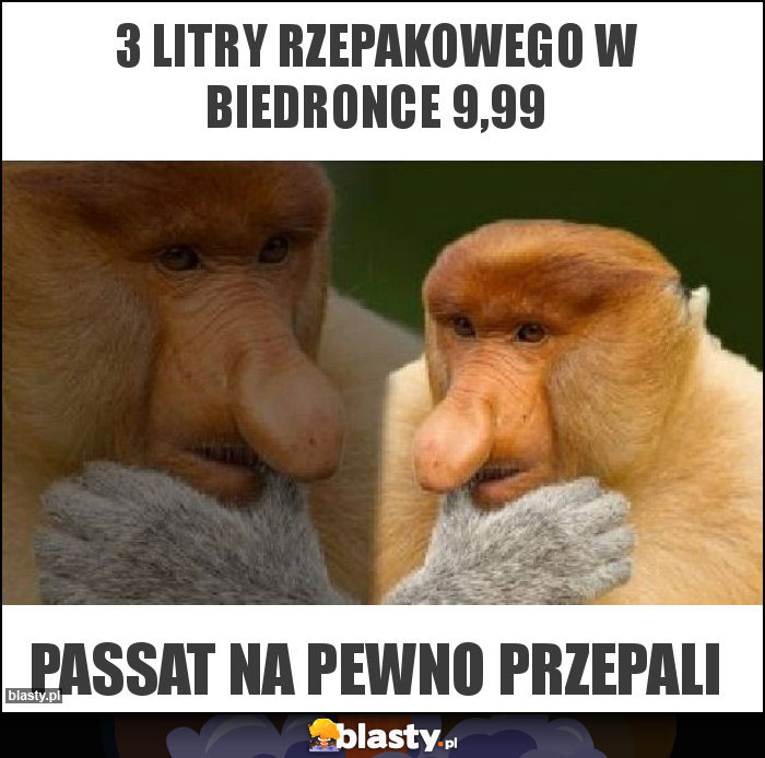 3 litry rzepakowego w Biedronce 9,99 3 litry rzepakowego w Biedronce 9,99