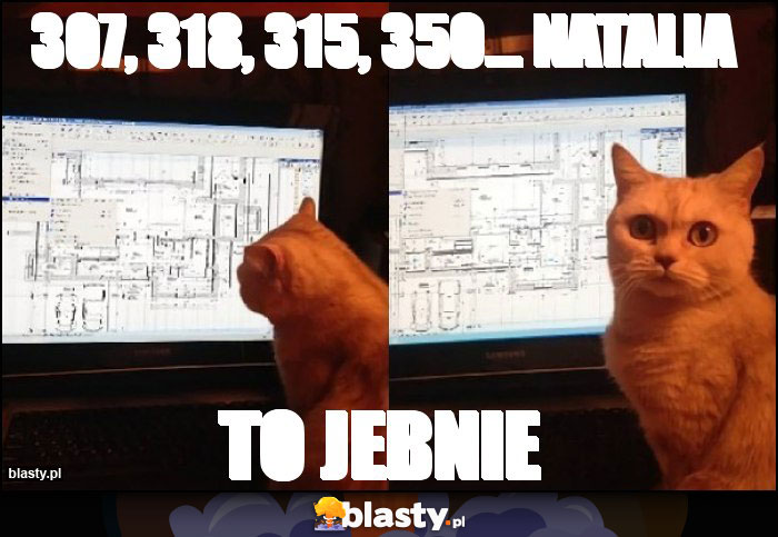 307, 318, 315, 350... Natalia 307, 318, 315, 350... Natalia
