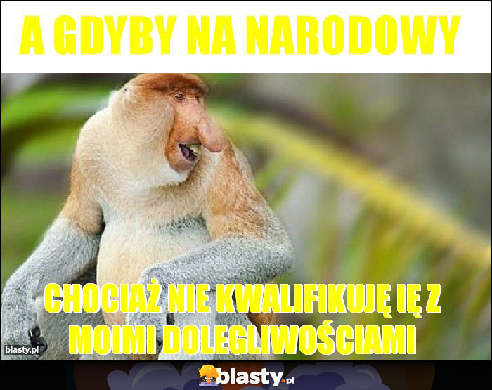 A gdyby na Narodowy A gdyby na Narodowy