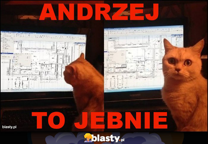 Andrzej