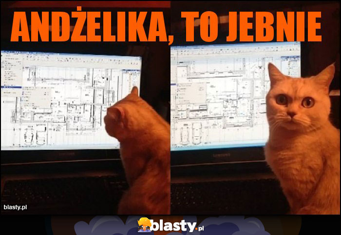 Andżelika, to jebnie Andżelika, to jebnie
