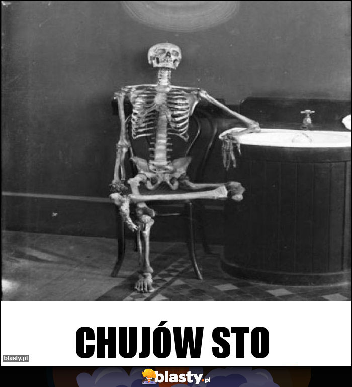 chujów sto chujów sto