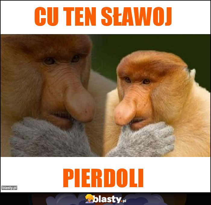 Cu ten sławoj Cu ten sławoj