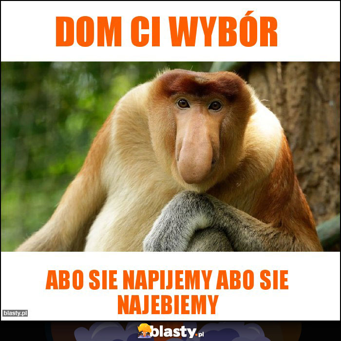 Dom ci wybór Dom ci wybór