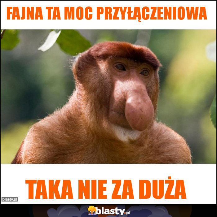 Fajna ta moc przyłączeniowa Fajna ta moc przyłączeniowa