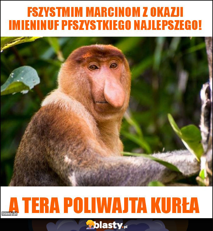 Fszystmim Marcinom z Okazji Imieninuf pfszystkiego Najlepszego! Fszystmim Marcinom z Okazji Imieninuf pfszystkiego Najlepszego!