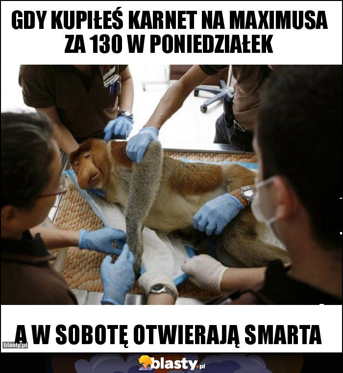 Gdy kupiłeś karnet na maximusa za 130 w poniedziałek Gdy kupiłeś karnet na maximusa za 130 w poniedziałek