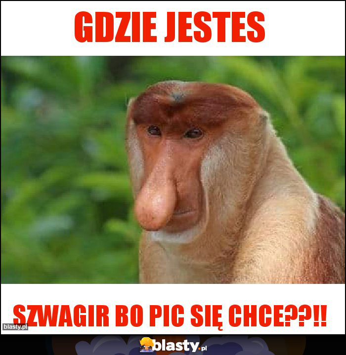 Gdzie jestes Gdzie jestes