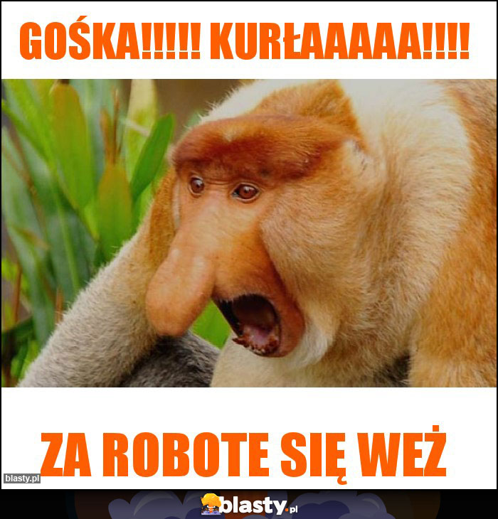 Gośka!!!!! Kurłaaaaa!!!! Gośka!!!!! Kurłaaaaa!!!!