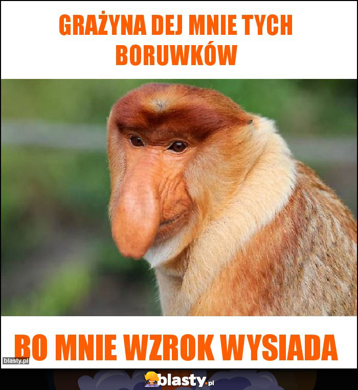 Grażyna dej mnie tych boruwków Grażyna dej mnie tych boruwków