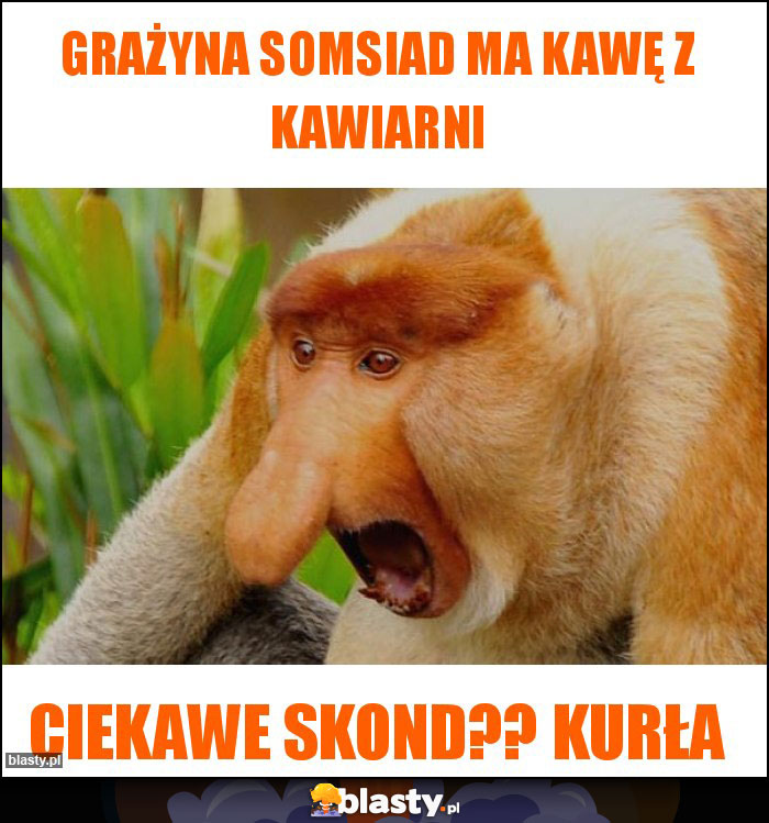 Grażyna somsiad ma kawę z kawiarni Grażyna somsiad ma kawę z kawiarni