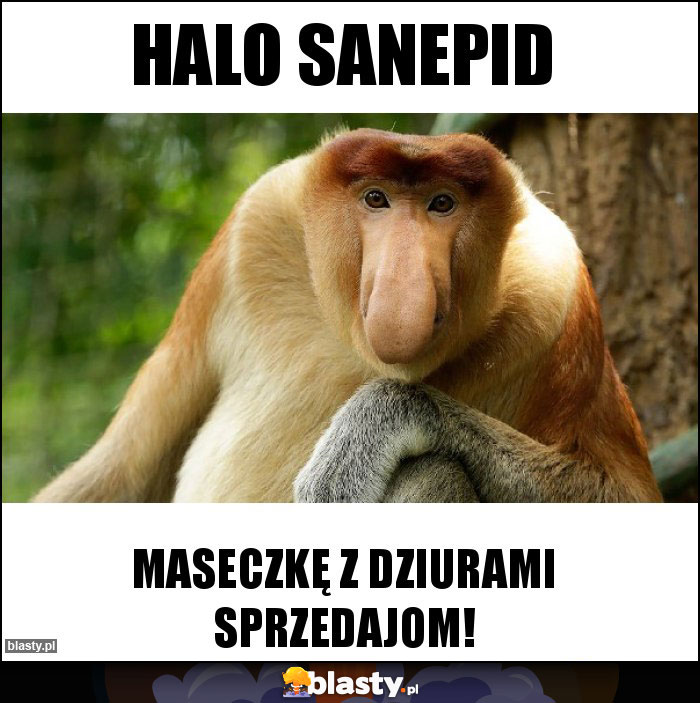 Halo Sanepid Halo Sanepid