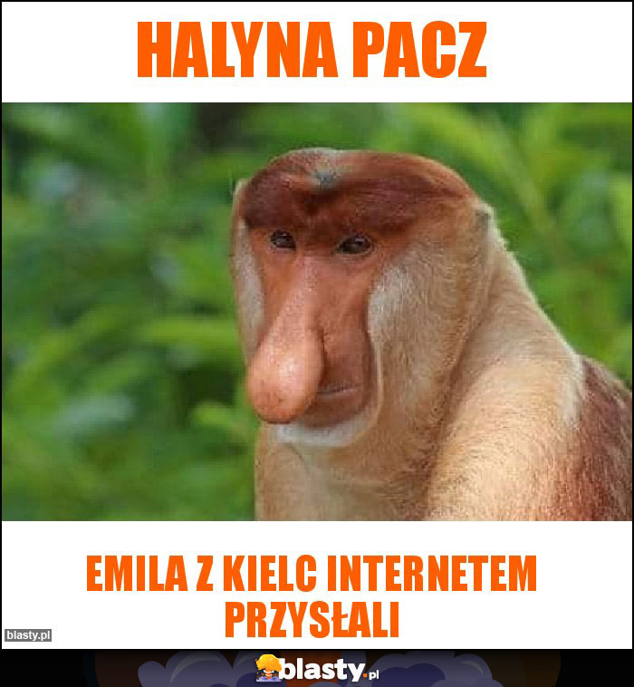 Halyna pacz Halyna pacz