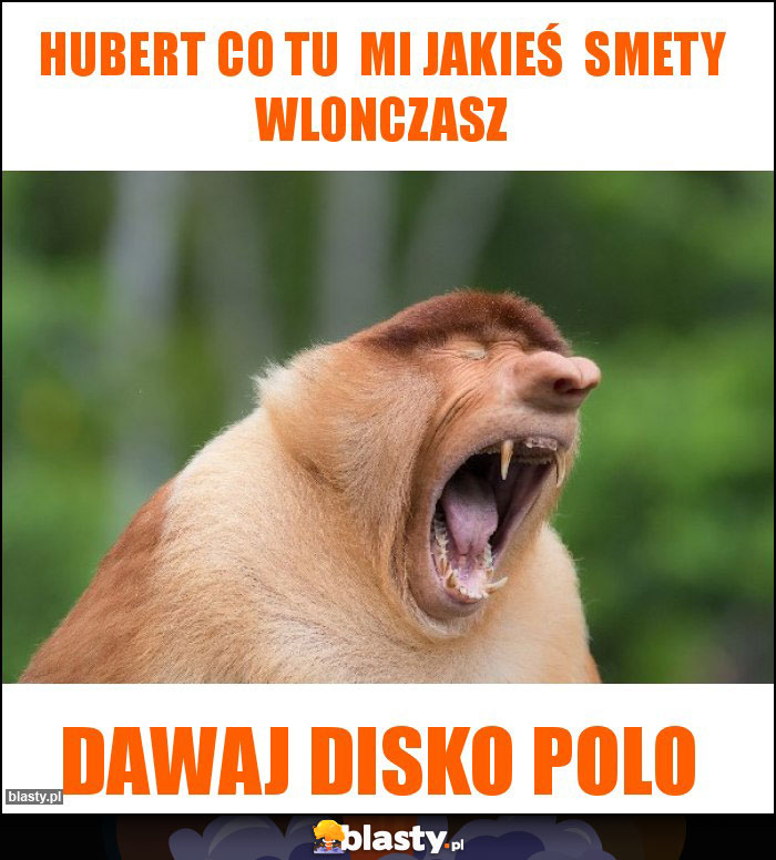 Hubert co tu mi jakieś smety wlonczasz Hubert co tu mi jakieś smety wlonczasz