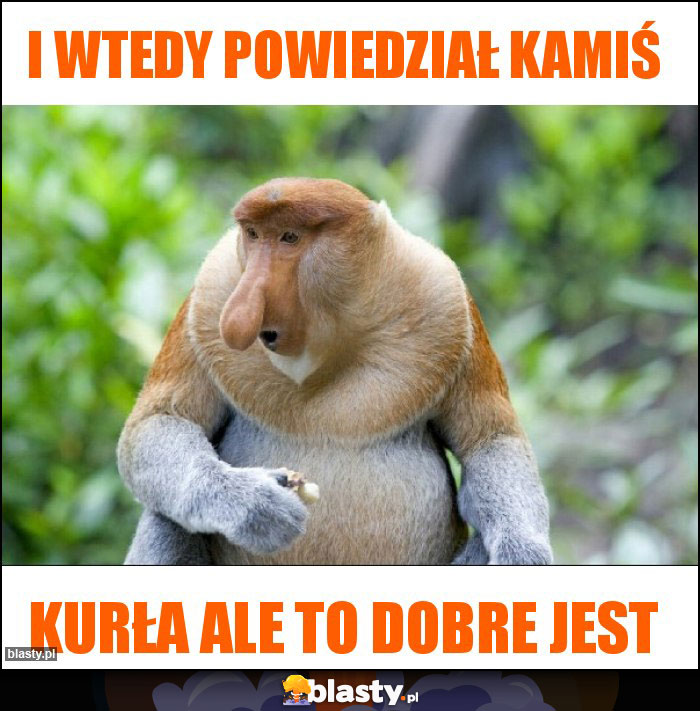i wtedy powiedział Kamiś i wtedy powiedział Kamiś