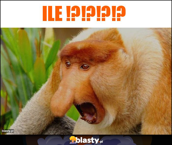 ILE !?!?!?!? ILE !?!?!?!?